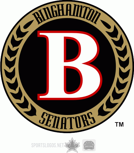 Binghamton Senators 2009 10-Pres Alternate Logo iron on heat transfer